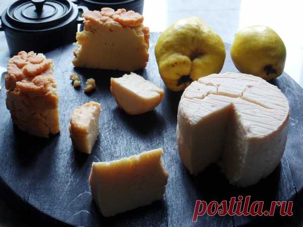 Гороховый сыр. Постный сыр. Постная сырная тарелка. - Русская кухня.