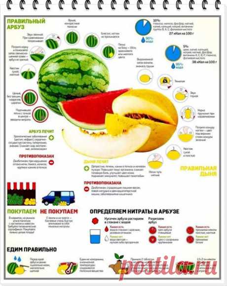 Учимся жить, не ускоряя процесс старения
#интернет_бизнес #полезная_информация #арбуз
Едим правильный арбуз