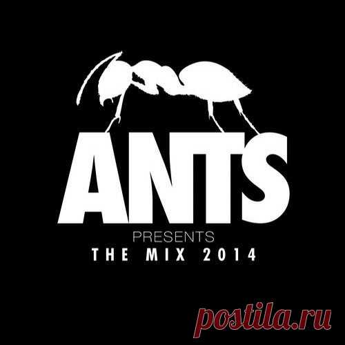 Download VA - ANTS presents The Mix 2014 [Defected In The House] Label ITH (Defected In The House) Styles Electronica, Tech House, Deep House Date 2014-06-29 Catalog # ANTCS01D2 Length 461:01 Tracks 38