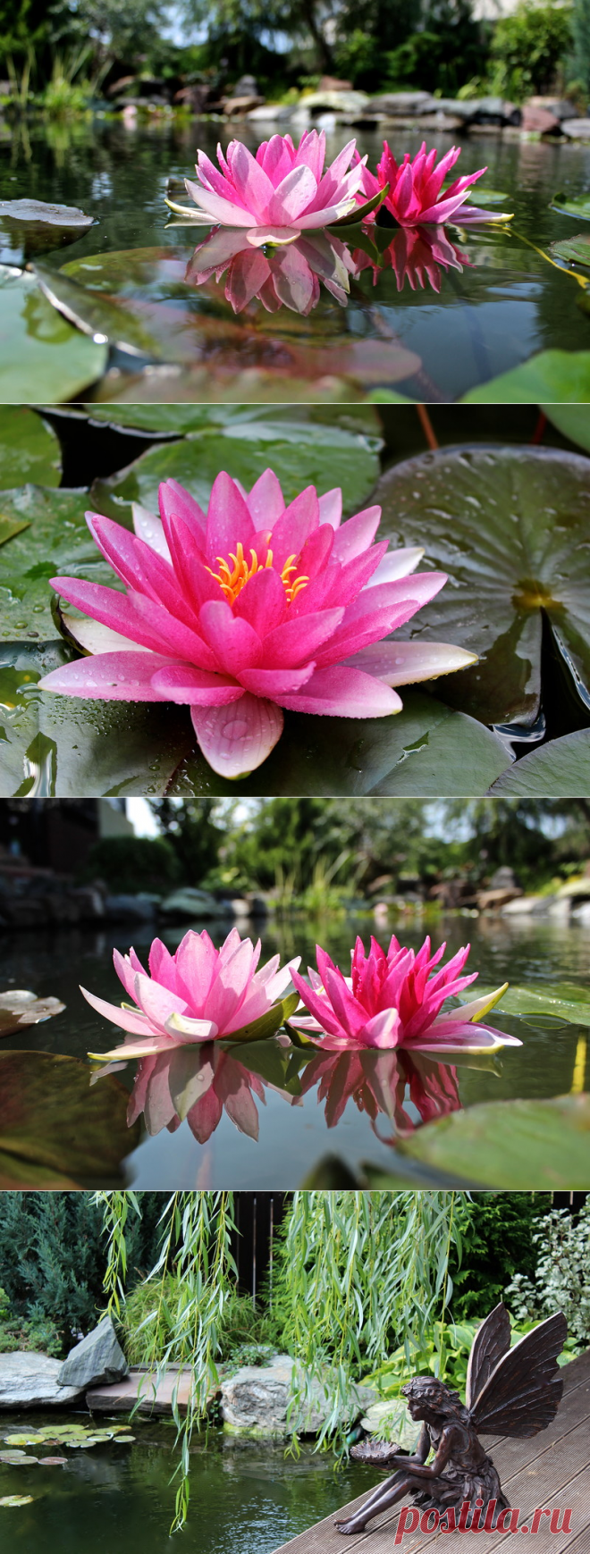 Небольшой водоем на участке. Мастер-класс