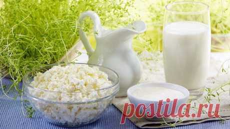 Топ-12 продуктов, сжигающих жир — Болтай