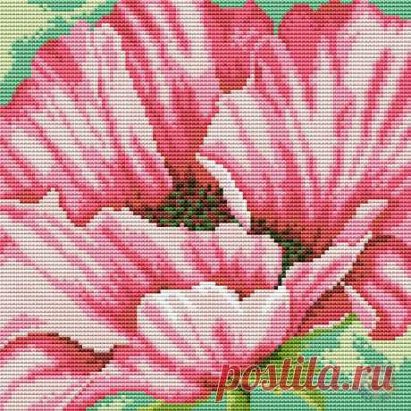 Фотографии на стене сообщества – 36 412 фотографий | ВКонтакте