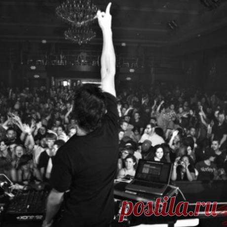 Dub Maestro ADE SAMPLER » MinimalFreaks.co