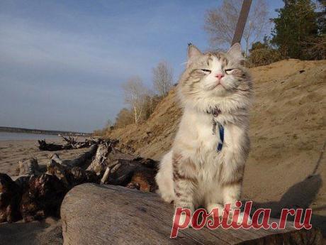 Жизнь хороша!