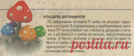 Грибы - кладезь витаминов