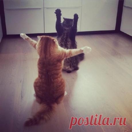 Сколько лет, сколько зим!