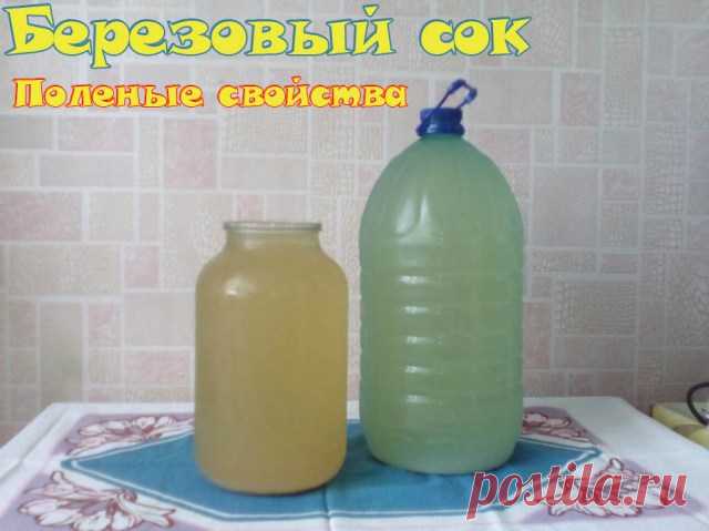 Чем полезен березовый сок | Народная медицина