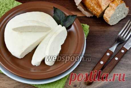 Панир | Рецепт панира с фото | Домашний сыр | Домашний сыр из молока на Webspoon.ru