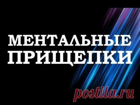 Вадим Зеланд — Ментальные прищепки