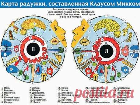 МАСТЕРСКАЯ ЗДОРОВЬЯ