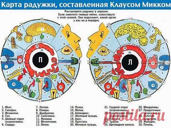 МАСТЕРСКАЯ ЗДОРОВЬЯ