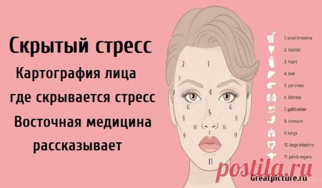Скрытый стресс.Картография лица, где скрывается стресс. Скрытый стресс.Картография лица, где скрывается стресс.Восточная медицина рассказывает. Картирование лиц началось в Китае около 3000 лет
