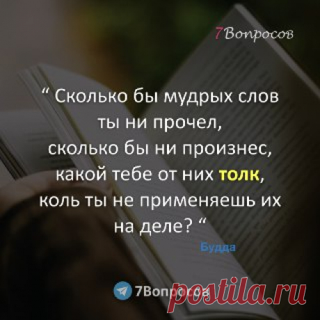 7Вопросов “ Сколько бы мудрых слов ты ни прочел, сколько бы ни произнес, какой тебе от них толк, коль ты не применяешь их на деле? “ © Будда