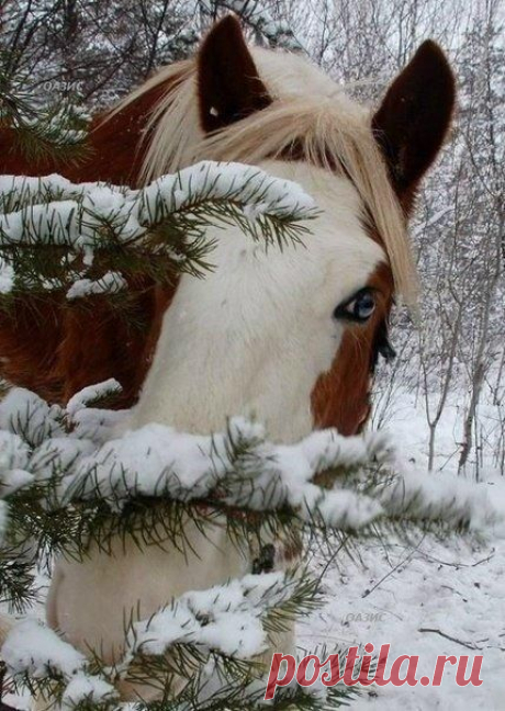 Сохранённые фотографии | 115 фотографий