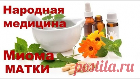 Народные средства от миомы