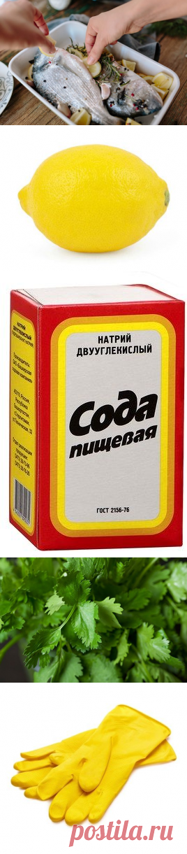 10 способов отмыть руки от запаха / Домоседы