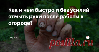 Как и чем быстро и без усилий отмыть руки после работы в огороде? | садоёж | Яндекс Дзен