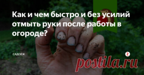 Как и чем быстро и без усилий отмыть руки после работы в огороде? | садоёж | Яндекс Дзен