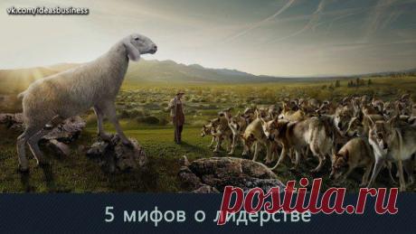 5 мифов о лидерстве / Сферический бизнес