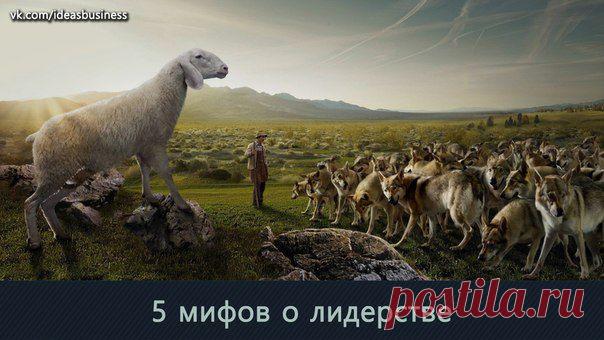5 мифов о лидерстве / Сферический бизнес