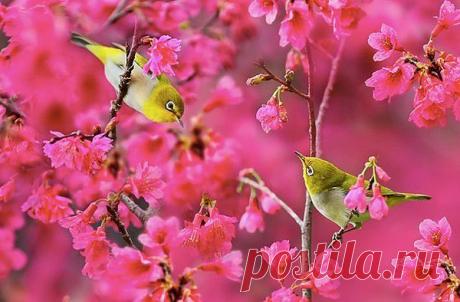 Мой Мир@Mail.Ru