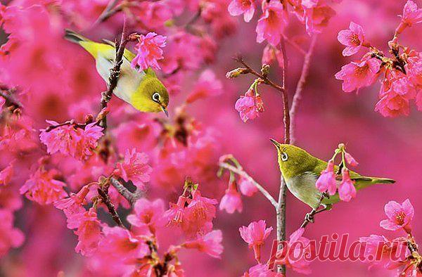 Мой Мир@Mail.Ru