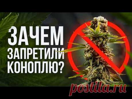 КОНОПЛЯ - Сельхозкультура №1 в СССР и Российской Империи. КТО ЕЁ ЗАПРЕТИЛ? - Документальный фильм