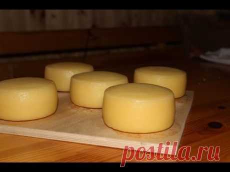 Как мы варим Сыр Качотта (деревенская еда)
