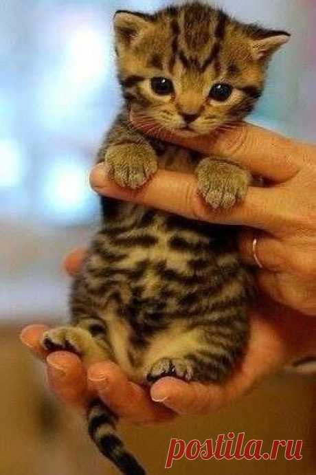 (9) Facebook