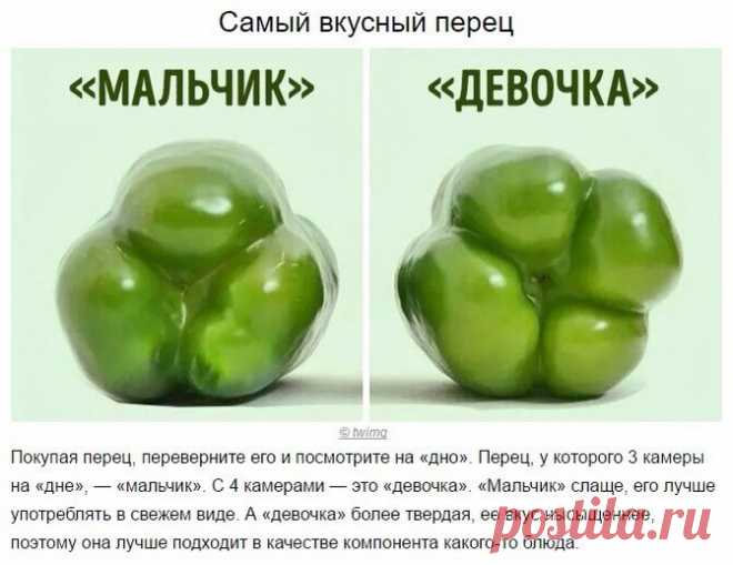Уютный дом. Идея. Воплощение. Полезные советы.