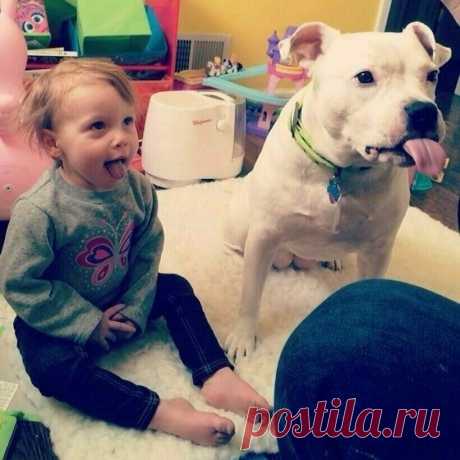 16 забавных и милых фото, доказывающих, что дети и животные созданы друг для друга | TravelAsk | Дзен