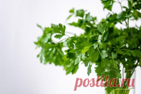 Травы для похудения | Эффективное похудение. Все виды диет Травы для похудения