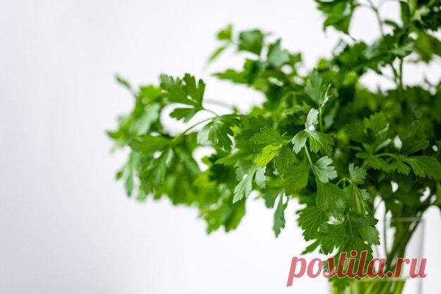 Травы для похудения | Эффективное похудение. Все виды диет Травы для похудения