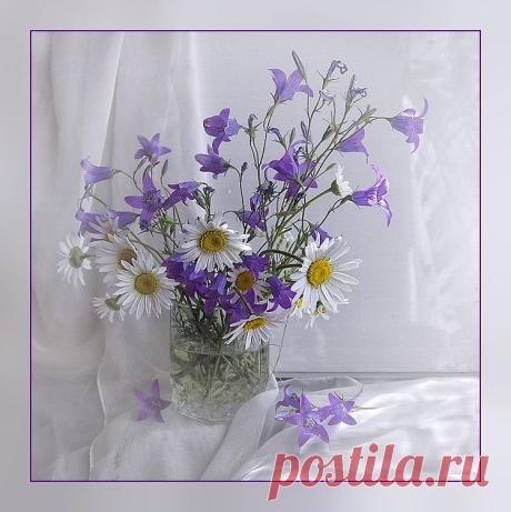 (79) Одноклассники