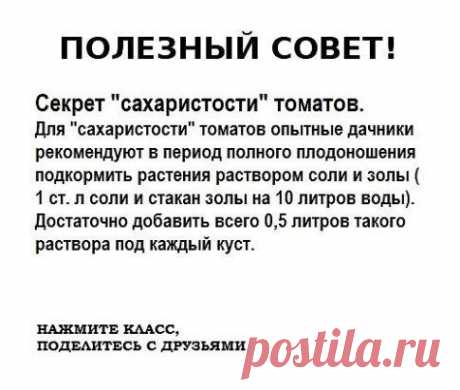 ● Чтобы не потерять эту информацию, жмите &quot;Класс!&quot; и &quot;Поделиться&quot;