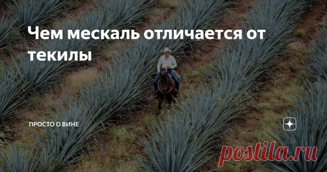 Чем мескаль отличается от текилы Мифы, пульке, ритуалы, боги, космос, магия, агава. На первый взгляд – набор не связанных между собой слов, напоминающий описание компьютерной игры. Но если присмотреться, то между ними проступают два других, ключевых – мескаль и текила.
