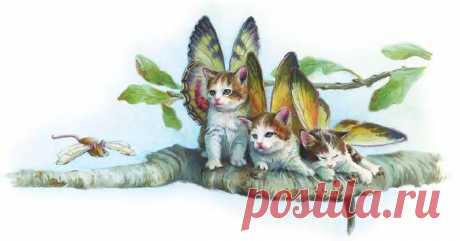 attachment.php (679×355)