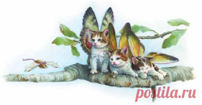 attachment.php (679×355)