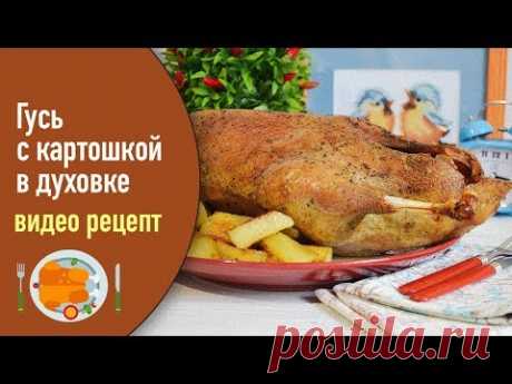 Гусь с картошкой в духовке — видео рецепт