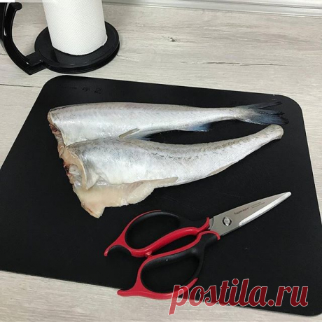 Ножницы "Диско"
Очень эффективные и удобные кухонные ножницы являются одним из изделий, входящих в целую серию эргономичных изделий.

При работе этими ножницами, возникающее давление равномерно распределяется между рукой и ножницами. Это происходит благодаря удобной форме ручек и мягкому пластику, из которого они изготовлены. .
✅ 🤚для правши и ✋️левши
.
✅ Ножницы очень удобно разбираются: для этого достаточно максимально развести лезвия в стороны. 
В таком разобранном пол...