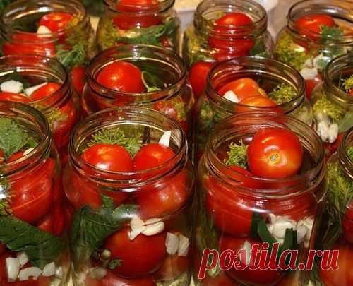 ТОП-10 самых вкусных заготовок из ПОМИДОРОВ