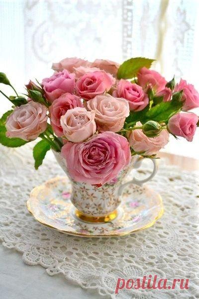 ..Мне, пожалуйста, Чашечку Лета,
Если можно - то самого тёплого,
С согревающим солнечным Светом,
С Ароматом душистой Черёмухи,
С Облаками из сахарной Ваты..                                                                                            ..Мне бы Лета, хотя бы Чашечку,
И, пожалуйста, поскорее...