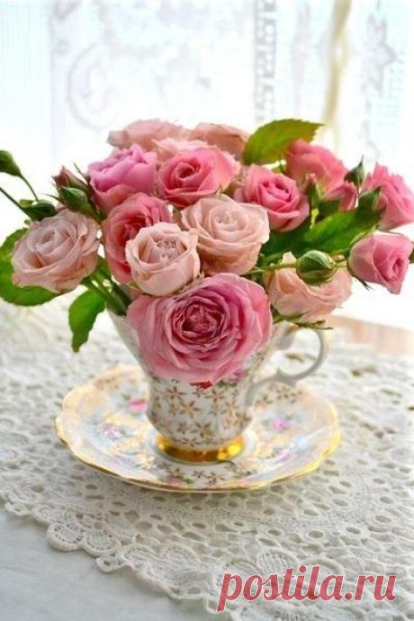 ..Мне, пожалуйста, Чашечку Лета,
Если можно - то самого тёплого,
С согревающим солнечным Светом,
С Ароматом душистой Черёмухи,
С Облаками из сахарной Ваты..                                                                                            ..Мне бы Лета, хотя бы Чашечку,
И, пожалуйста, поскорее...