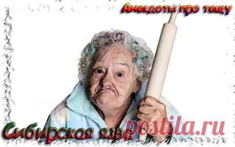 Сибирская язва - Анекдоты про тещу 2019