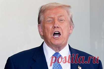 В желании Трампа приехать в Москву оказался виноват чебурек