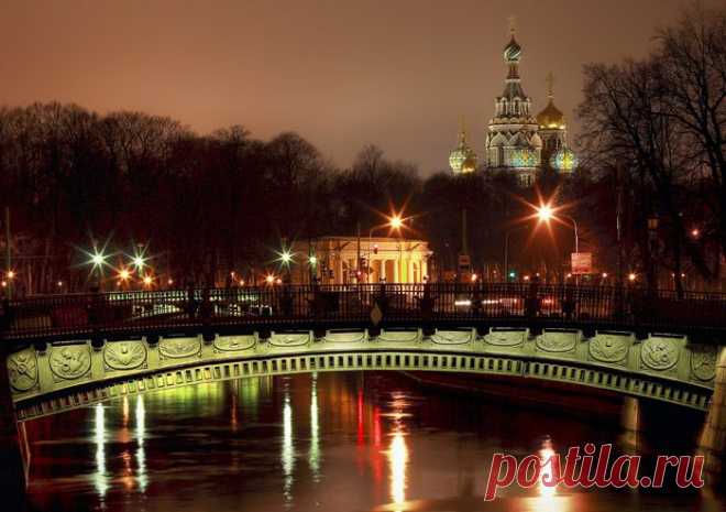 фото Цвет ночи...