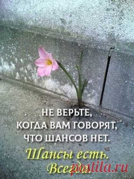 Фотоальбом Разное группы Такой Расклад