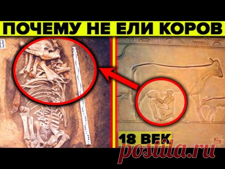 Почему на Руси до 18 века не ели говядину ? Шокирующие факты о которых молчат историки