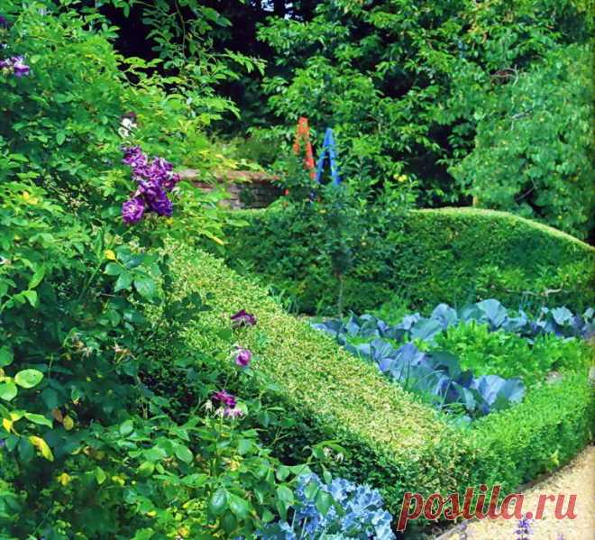 Как создать сады пряных трав | Дача - впрок