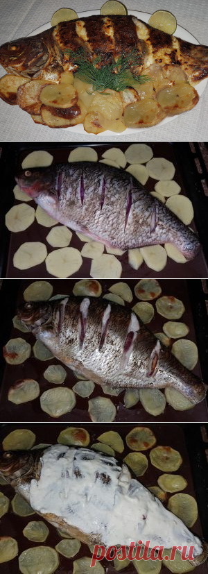 Лещ с картошкой, запеченные в духовке
Самое сложное в сегодняшнем рецепте - это почистить рыбу и постараться не подавиться косточками.